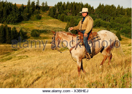 Cowboy riding a horse across the prairie, Cypress Hills, Saskatchewan ...