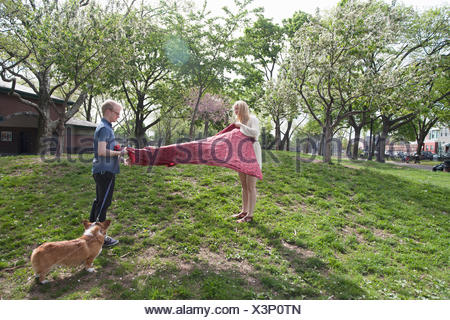 Young couple shaking picnic blanket in park