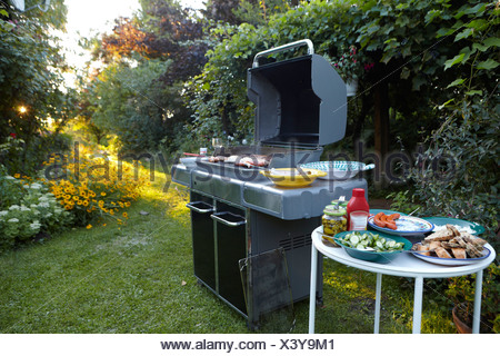 Gardens Bbq Stock Photo 283639447 Alamy