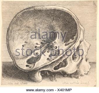 Skull in profile side view drawing in a vintage retro woodcut etched or ...