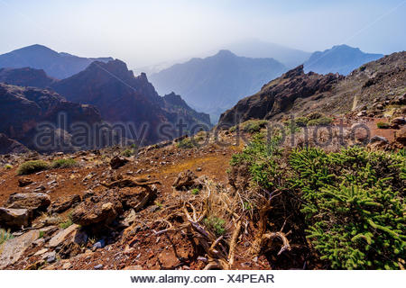Â roque de los muchachos