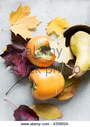 Download Overhead View Of A Small Yellow Bowl Filled With Applesauce Offset On A Gray Background Stock Photo Alamy Yellowimages Mockups