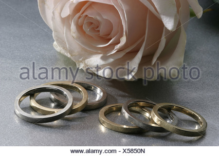 Eheringe Mit Rose Stock Photo Alamy