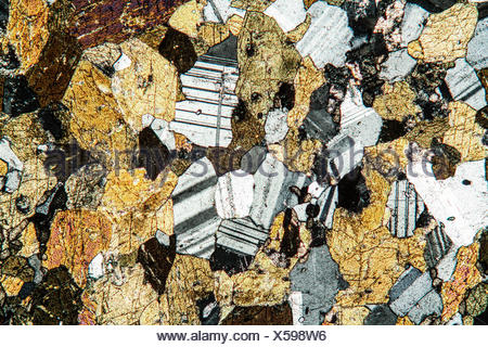 amphibolite rock thin section Stock Photo - Alamy