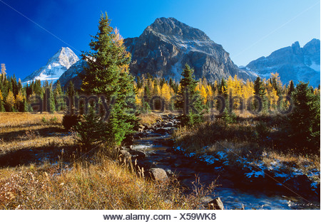 Mount Assiniboine Provincial Park in Fall, British Columbia, Canada.
