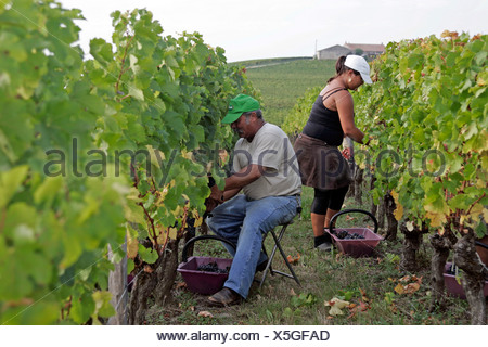 Old Vineyard Jobs