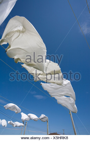 Washing Clothes White Clothes Soaked Stock Photo 228183681 Alamy