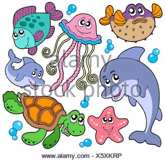 Fish-eye image of a colorful jelly bean row house ...