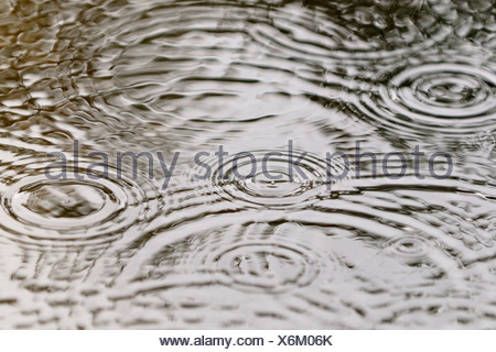 water puddles with rain drops falling on them on wet asphalt Stock ...