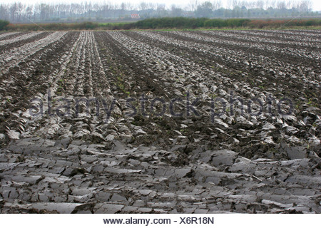 ploughed up acre, heavy clay soil, Germany Stock Photo: 58100451 - Alamy