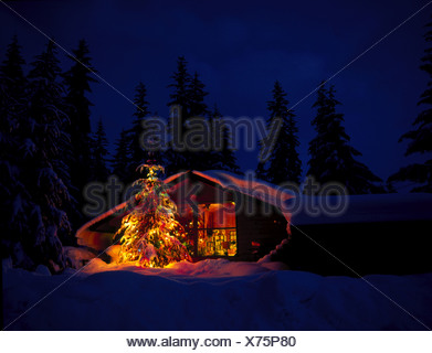 Christmas Decorations On Log Cabin Home Southcentral Ak Winter