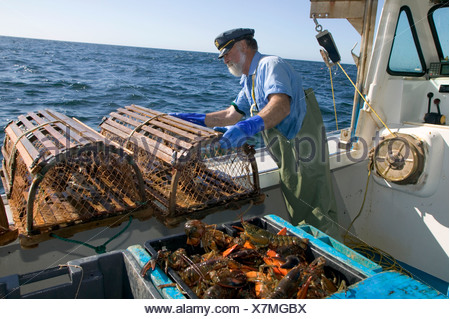 Lobster Fishing, Rustico, PEI, Prince Edward Island, Canada Stock Photo ...