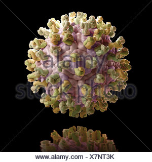 Structure West Nile Virus (PDB 3IYW). WNV is virus family Stock Photo ...