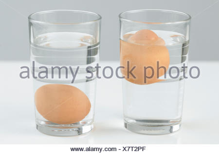 Egg floating in glass of water (sink or float egg freshness test Stock ...