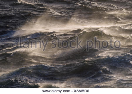Moderately rough sea, waves with whitecaps, sea surface, North Stock ...