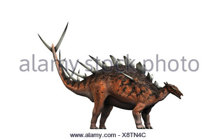 Kentrosaurus Stock Photo - Alamy