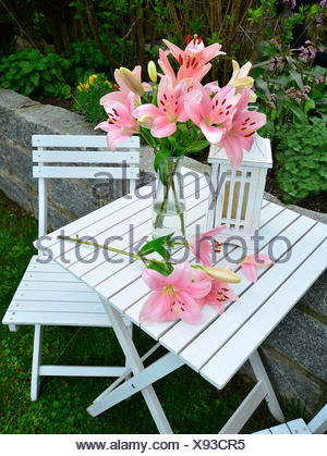 Rosa Lilie Garten Fruhling Shabby Chic Stock Photo 276581419 Alamy