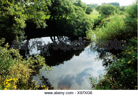 Shannon Pot source of Shannon river County Cavan Eire Ireland spring