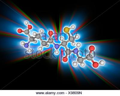 peptide backbone nitrogen atom