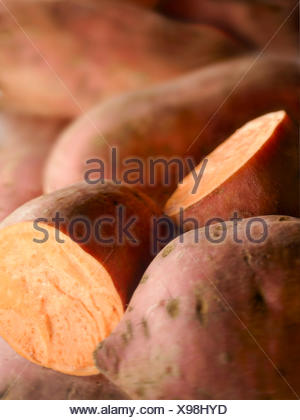 potato sweet batatas ipomoea ornamental alamy subject red similar
