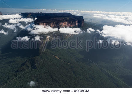Mount Roraima is the highest of the Pakaraima chain of Tepuis Stock ...