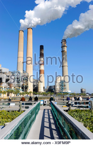 TECO Tampa Electric Company Manatee Viewing Center Apollo Beach Stock