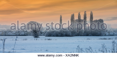 snow landscape with ground fog in morning light, Germany, Bavaria, Isental
