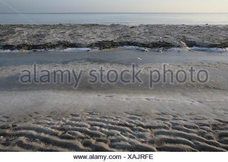 Groyne On The Beach Of Prerow Darss Stock Photo Alamy