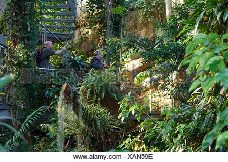 Germany Hannover Interior Of Greenhouse Stock Photo 61153552