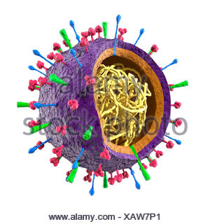 Colored particle of Flu virus H1N1 H5N1 influenza A virus - virion ...