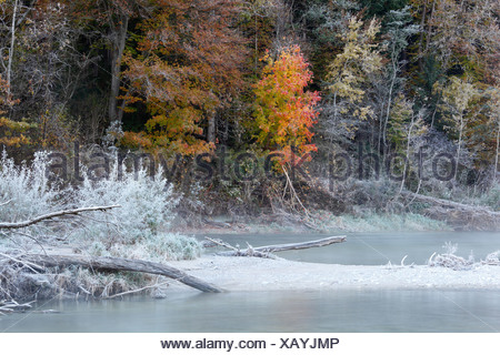 Hoarfrost on the Isar river in autumn, Isar, Geretsried, Upper Bavaria, Bavaria, Germany, Europe