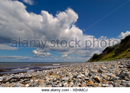 Shingle beach in Kiel Bay near Altbuelk, Baltic Sea Stock ...