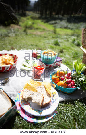 Food Laid Out On A Picnic Table Stock Photo Alamy