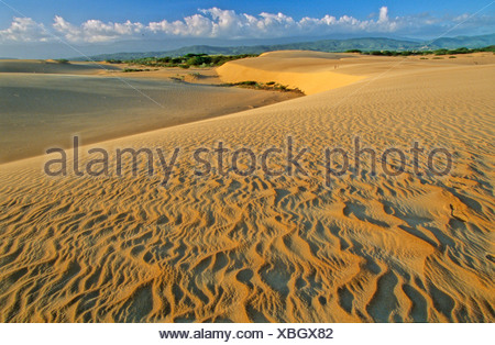 Venezuela South America Coro Parque Nacional Medanos De Coro Sand dunes ...