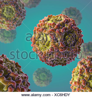 Structure Human Parvovirus B19 (PDB 1S58). B19 Virus Causes Childhood ...