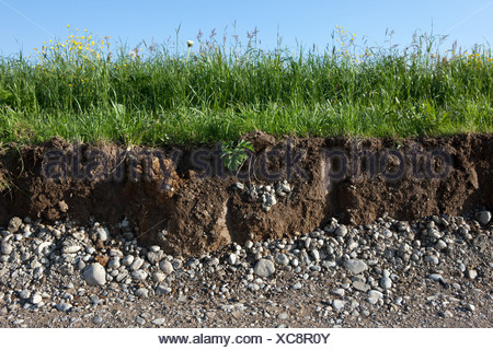 Soil And Grass Cross Section Stock Photo - Alamy