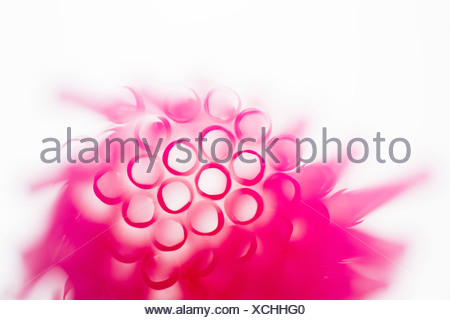 Studio shot of pink drinking straws