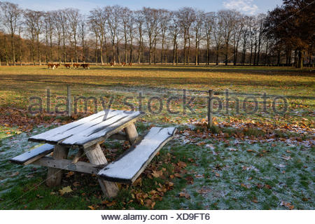 Riped picnic bench near Hernen castle in the Dutch province Gelderland