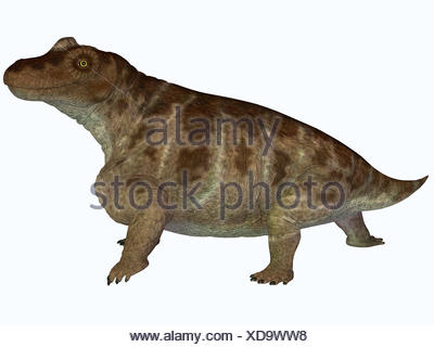 Keratocephalus was a semi-aquatic herbivore dinosaur that lived in ...