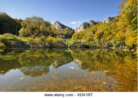 Jurassic limestone rocks and autumnal beech forest are reflected in the Danube, Tuttlingen district, Baden-Wuerttemberg
