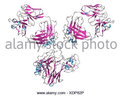 IgG1 monoclonal antibody (immunoglobulin). Many biotech drugs are Stock