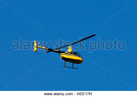 Black and yellow helicopter, Air Lloyd Robinson R44 Raven II, flying ...