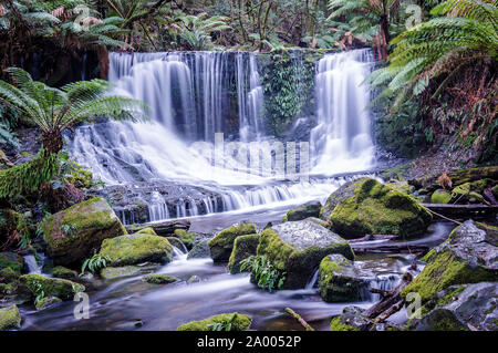 Abgeschieden Wasserfall im tropischen Regenwald. Horseshoe Falls im Mount Field National Park, Tasmanien, Australien Stockfoto