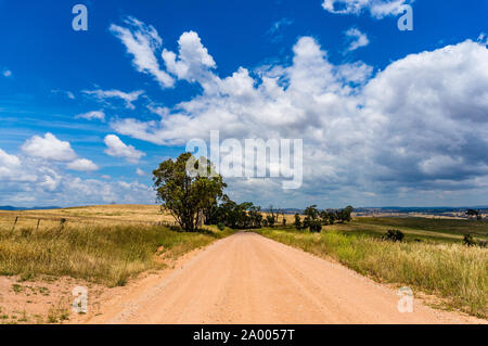 Australische outback Road. Nicht abgeschottete ländlichen dirt road, Anschluss an einem sonnigen Tag. NSW, Australien Stockfoto