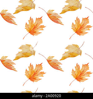 Aquarell nahtlose Muster der Ahornblätter auf weißem Hintergrund, handbemalte Herbst botanischen Drucken für wpapping, Textilien, Tapeten Stockfoto