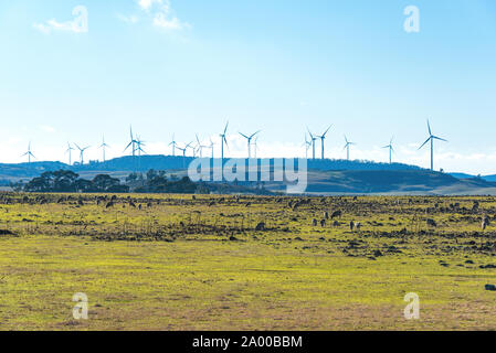 Mühle strom Turbine mit Landschaft Hintergrund. Ackerland und Windkraftanlagen. Myrtleville, NSW, Australien Stockfoto