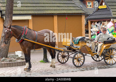 Pferd mit Schlitten im historischen Zentrum von Zakopane, Polen: Zakopane, Polen - September 02, 2019. Stockfoto