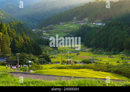 Japanische Landschaft mit Reisfeldern Terrassen unter den Bergwald. Youtsuya Blick auf die Landschaft. Präfektur Aichi, Japan Stockfoto