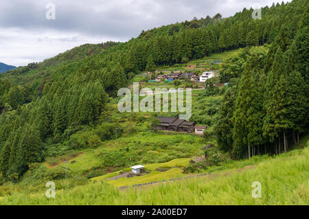 Japanische ländlichen Bauernhof auf Berghängen. Landwirtschaft ländliche Szene mit Wald im Sommer Stockfoto