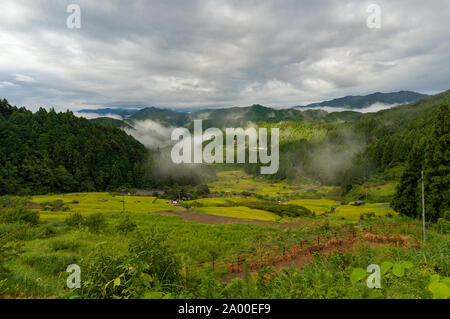 Japanische Landschaft mit Reisterrassen in Bergwald mit Nebelschwaden auf Pisten. Yotsuya keine Semmaida Reisfelder. Shinshiro, Aichi prefec Stockfoto